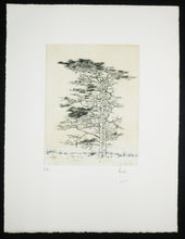 Charger l'image dans la galerie, Arbres de mer, 1980.
