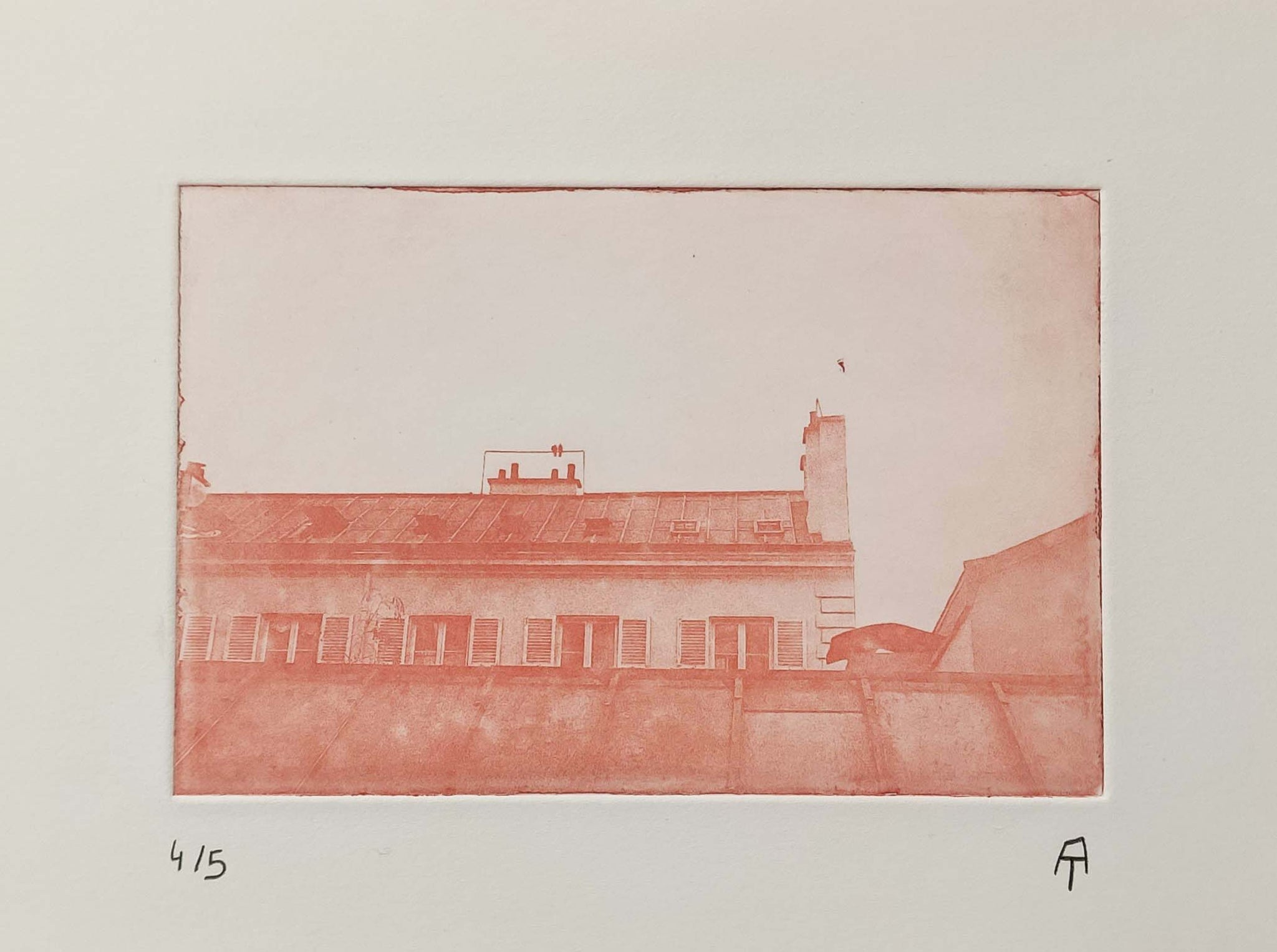 Les oiseaux, jeudi 7 mai 2020.