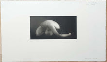 Charger l'image dans la galerie, Détente. 1999