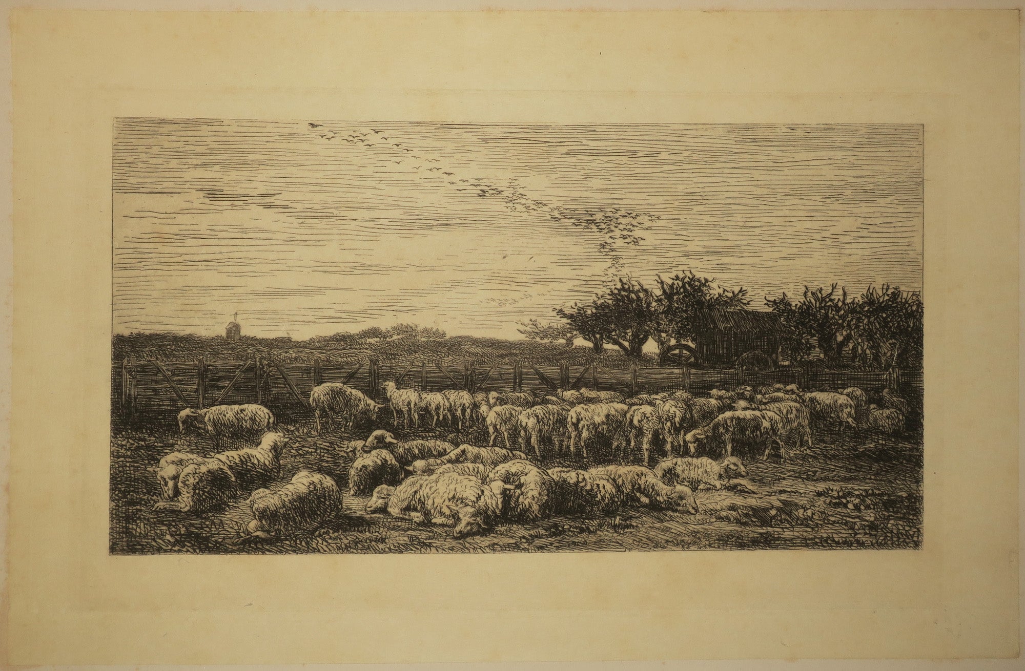 Le grand parc à moutons.