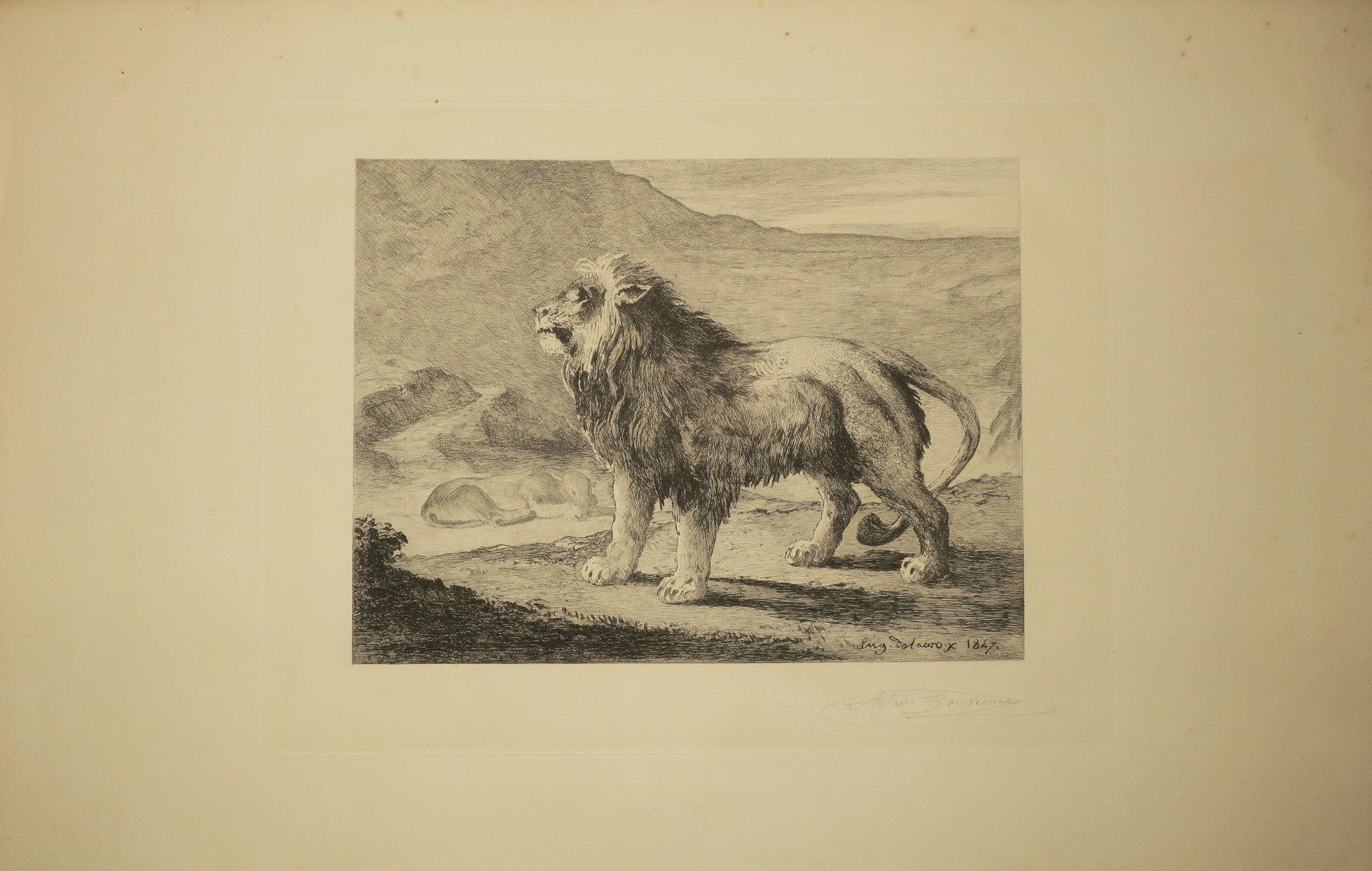 Lion et lionne dans les montagnes.