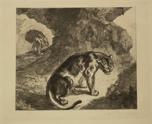 Charger l'image dans la galerie, Lion et lionne dans leur antre.