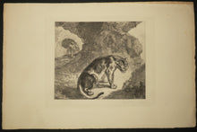 Charger l'image dans la galerie, Lion et lionne dans leur antre.