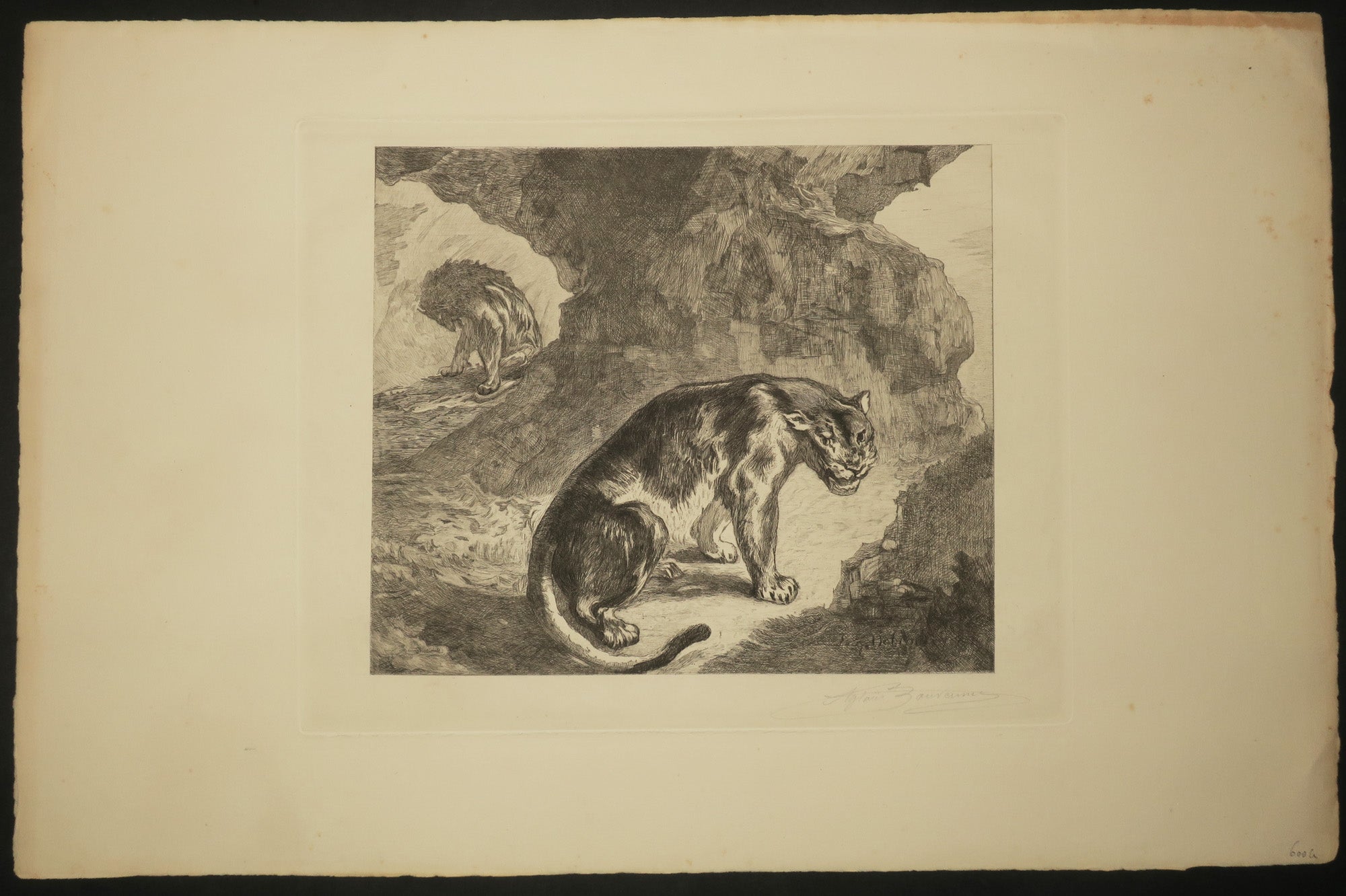 Lion et lionne dans leur antre.