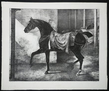 Charger l'image dans la galerie, Cheval noir attaché dans une écurie.