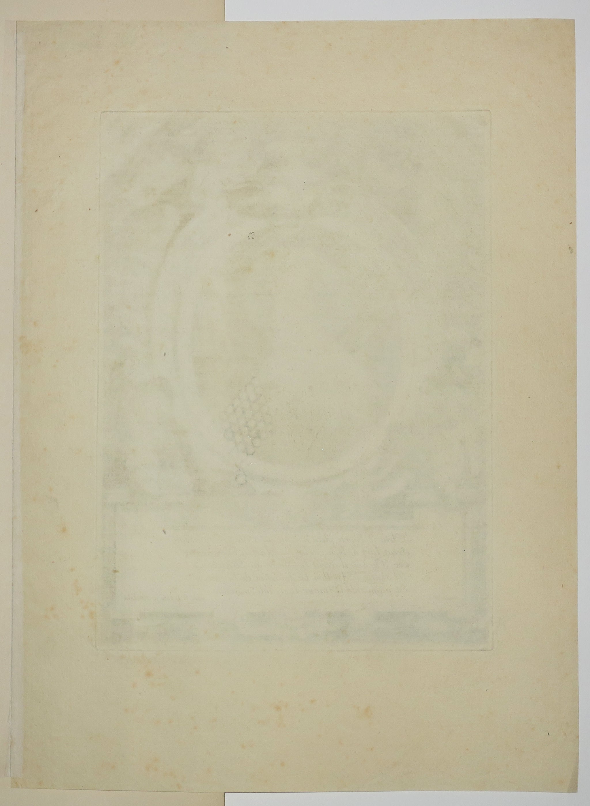 Portrait de Jacques Favereau (1590-1638) , avocat et littérateur. c.1635-1638.