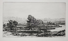 Charger l'image dans la galerie, Les tourbières.