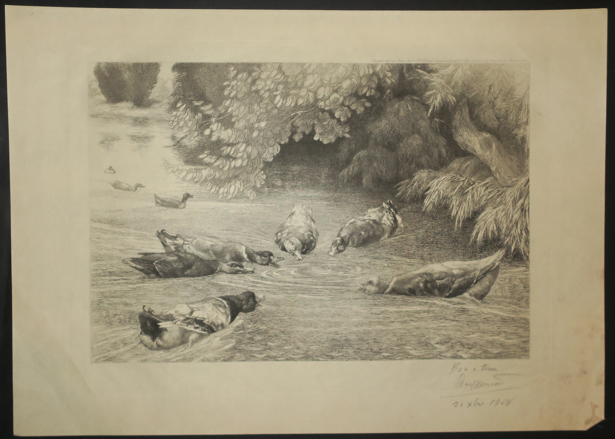 Le point d'interrogation (Les canards dupés). 1906.