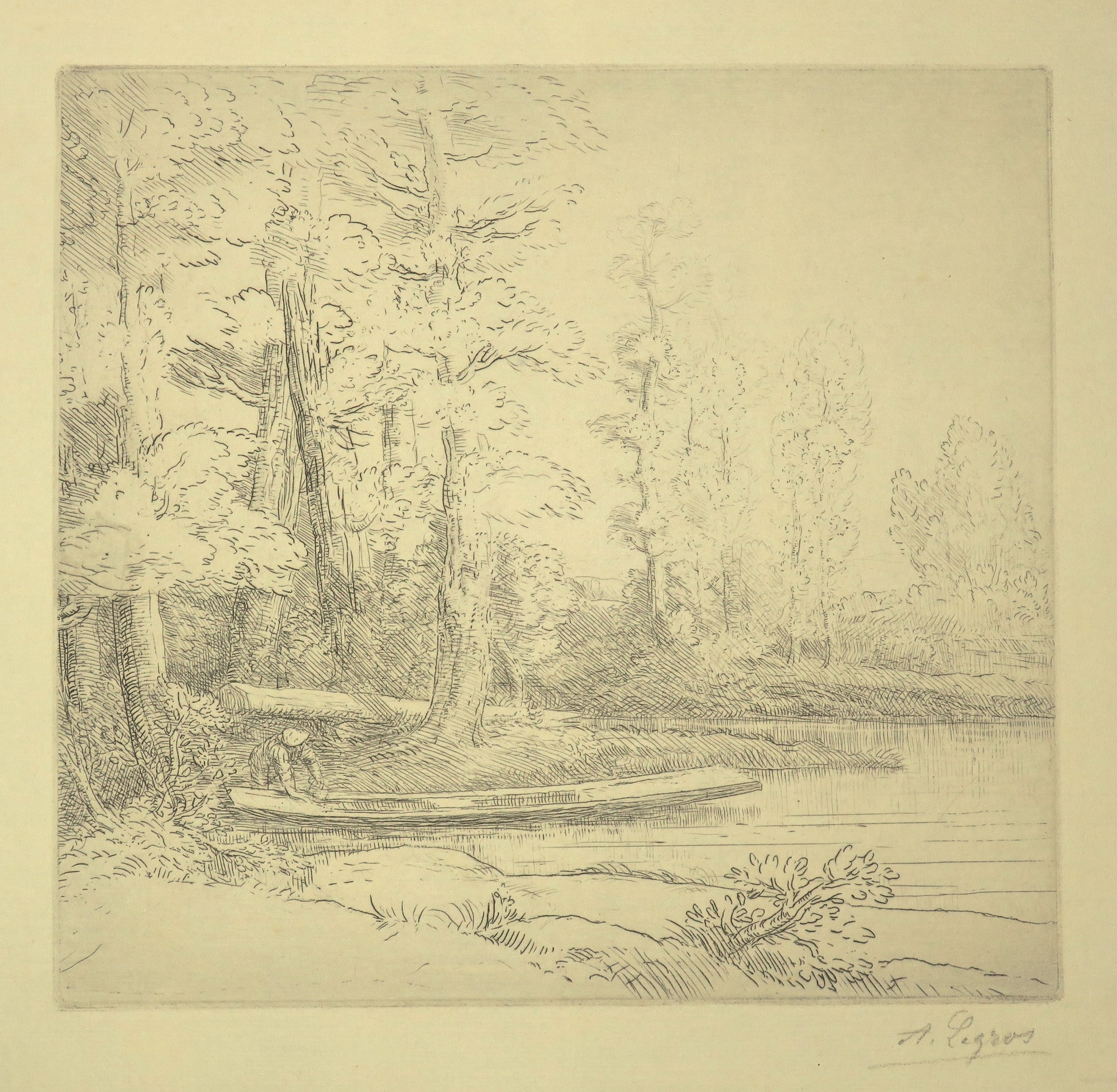 Les arbres au bord de l'eau.