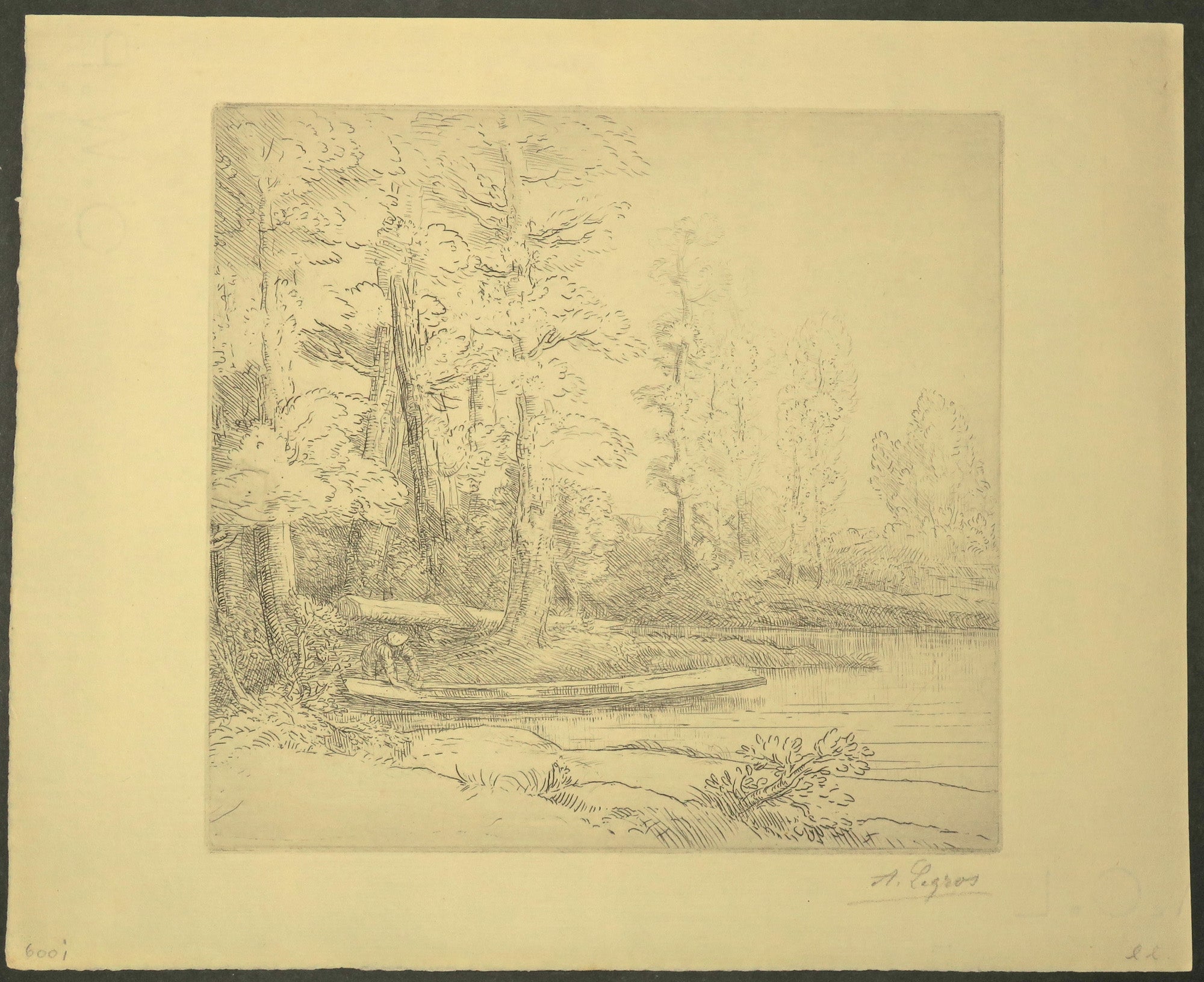 Les arbres au bord de l'eau.
