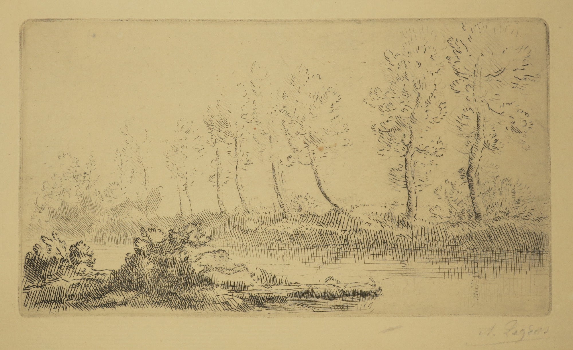 Bord de l'Adour.