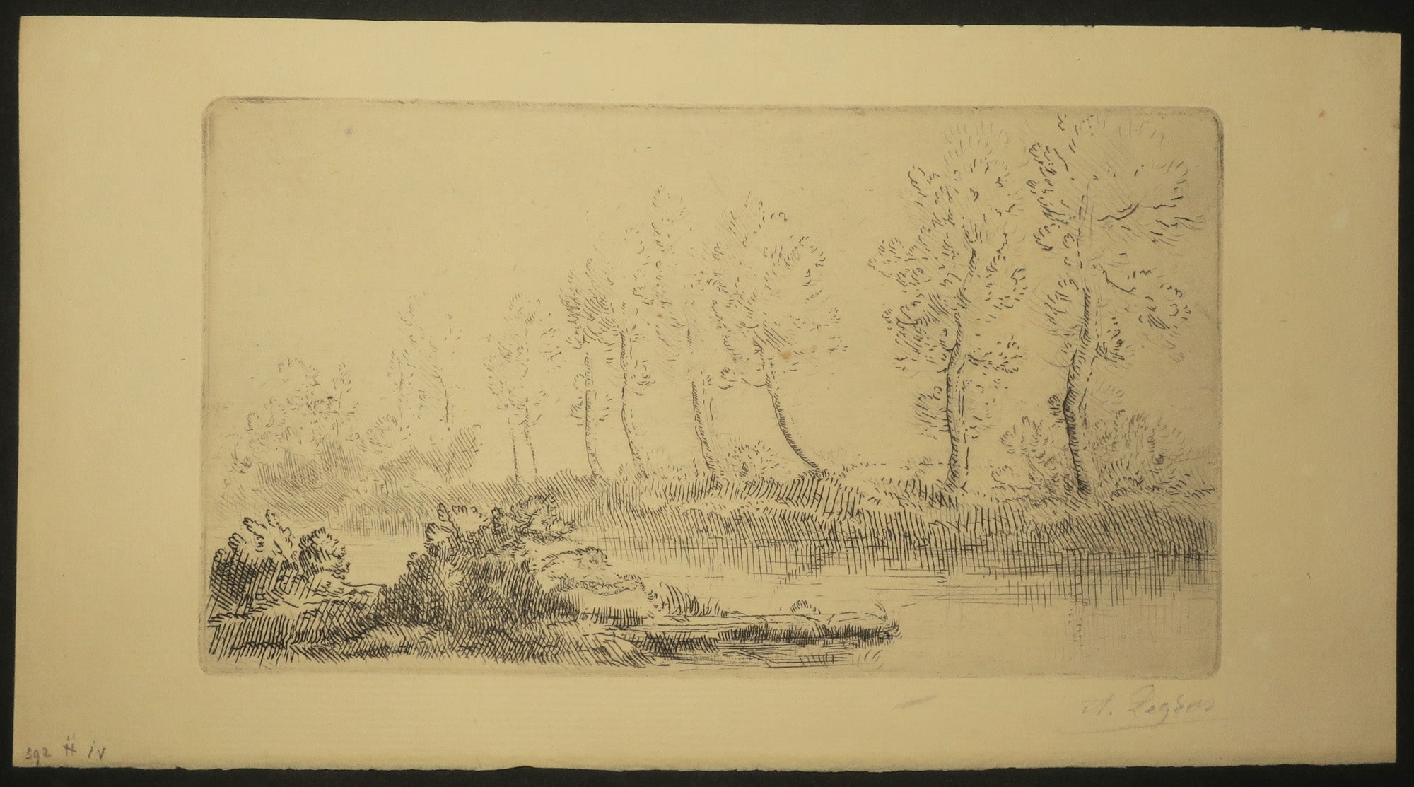 Bord de l'Adour.