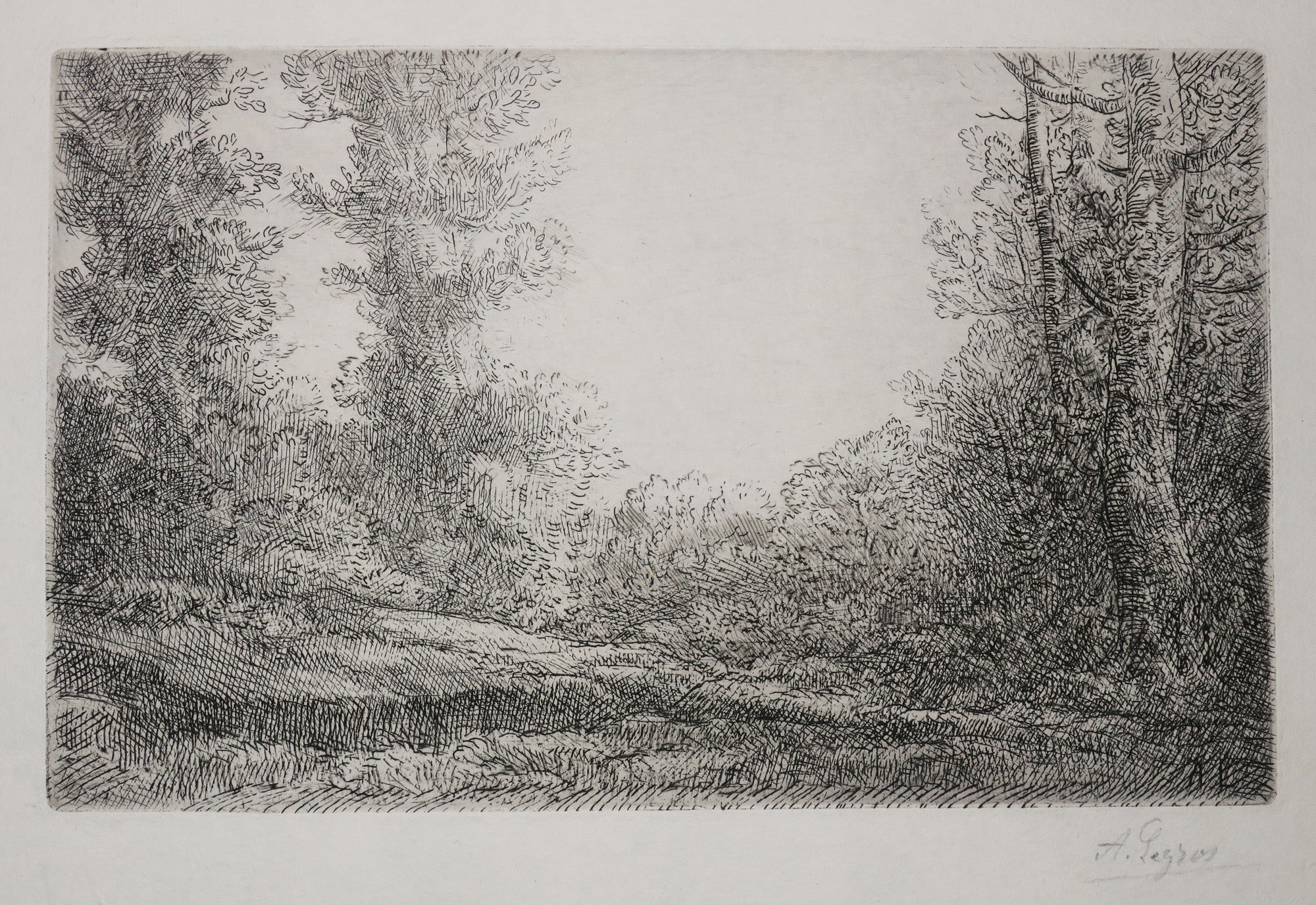 Lisière de bois.