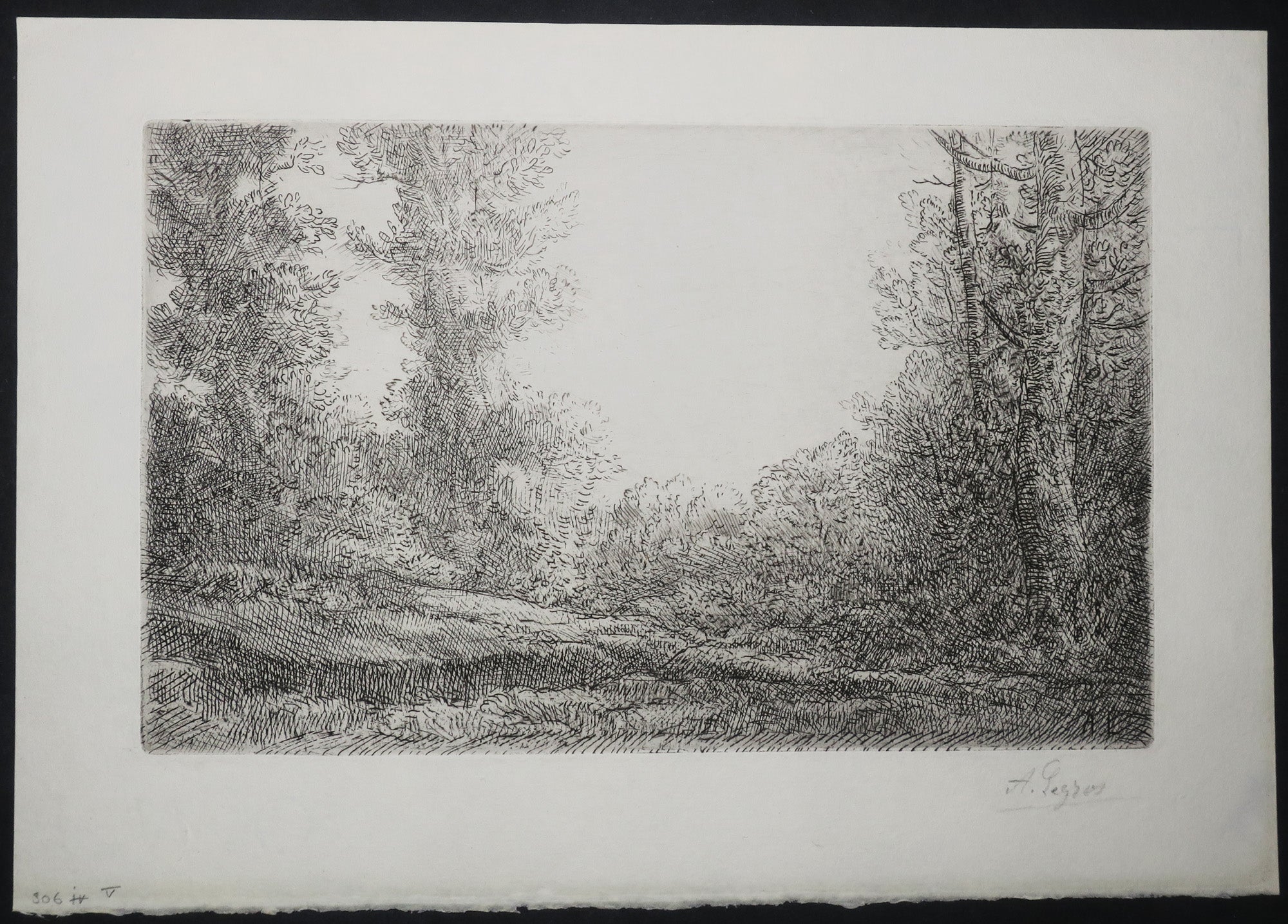 Lisière de bois.