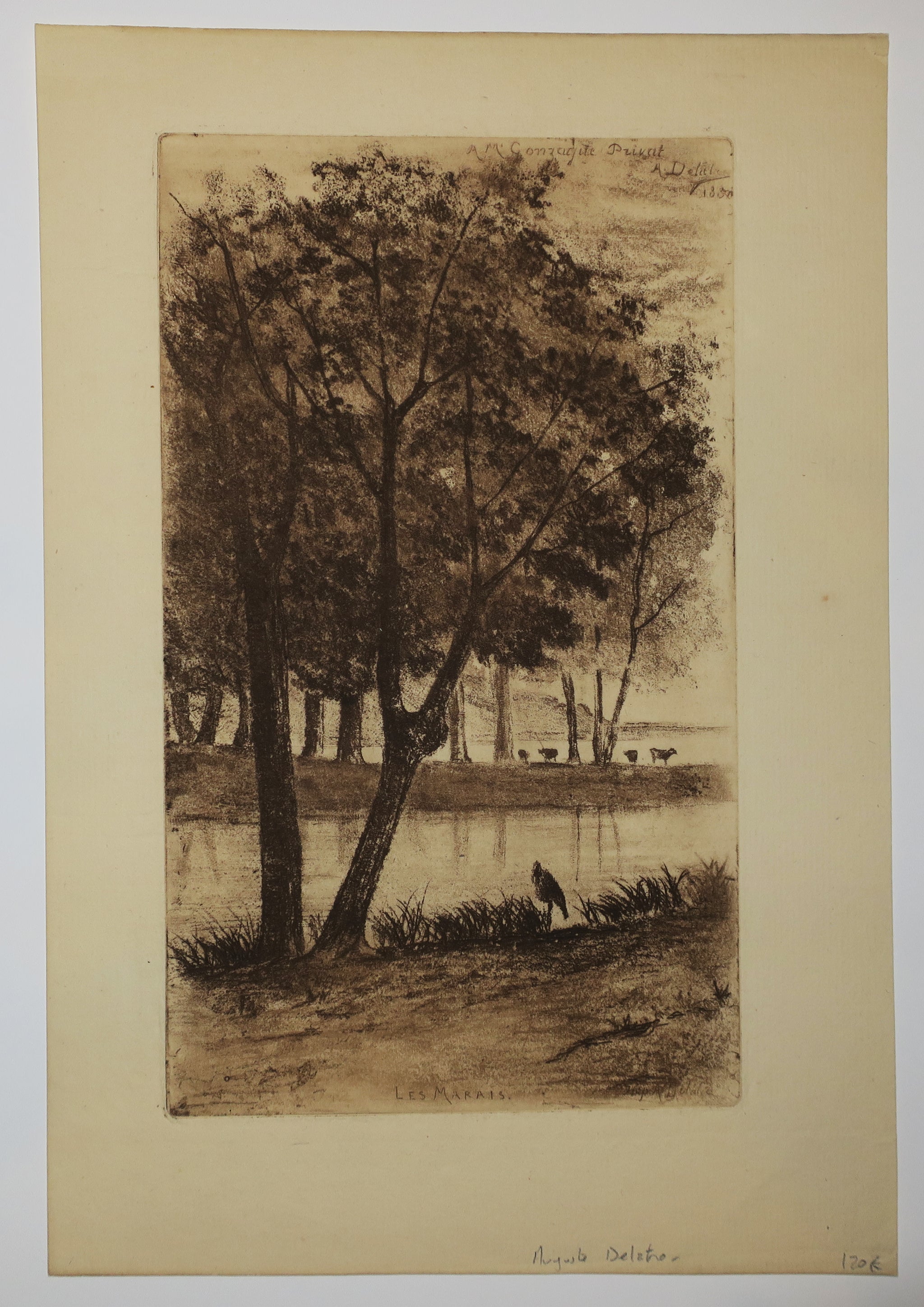 Les Marais.