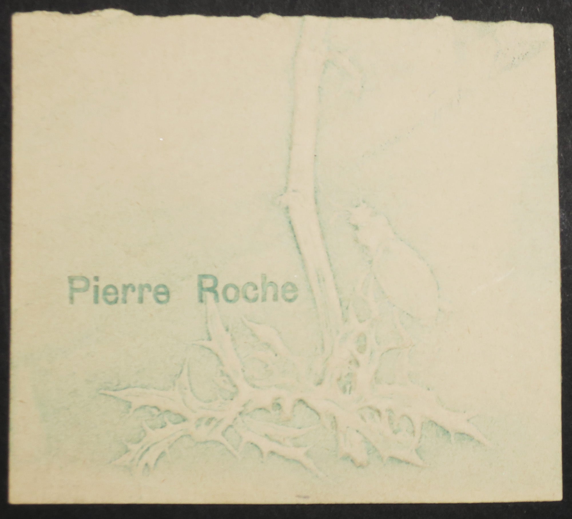 Insecte et chardon. Carte de jour de l'an.