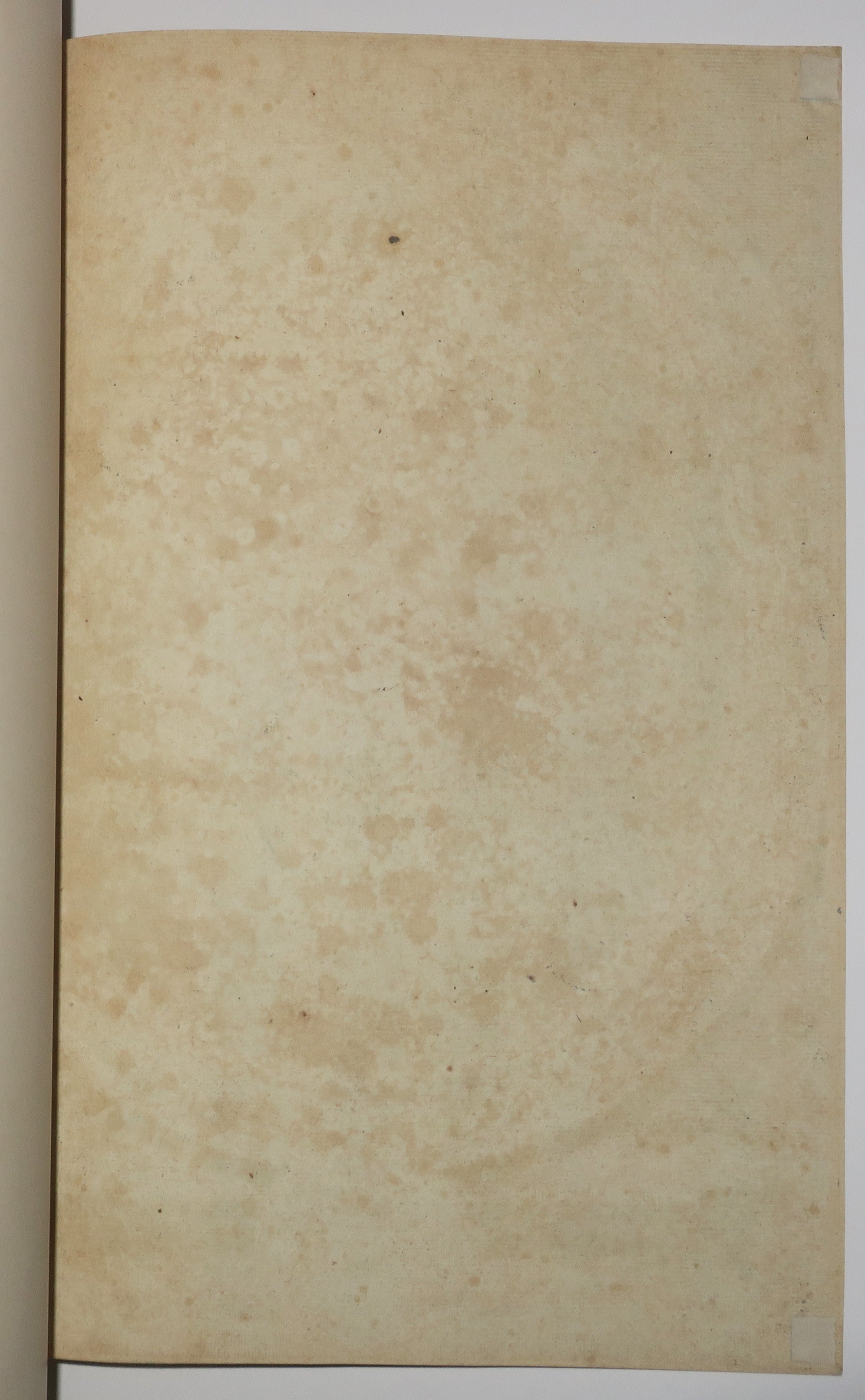 Portrait de Barthélémy Auzanet, Avocat au Parlement (?-1673).