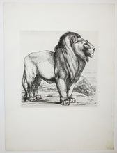 Charger l'image dans la galerie, Lion debout de profil droit. 1866.