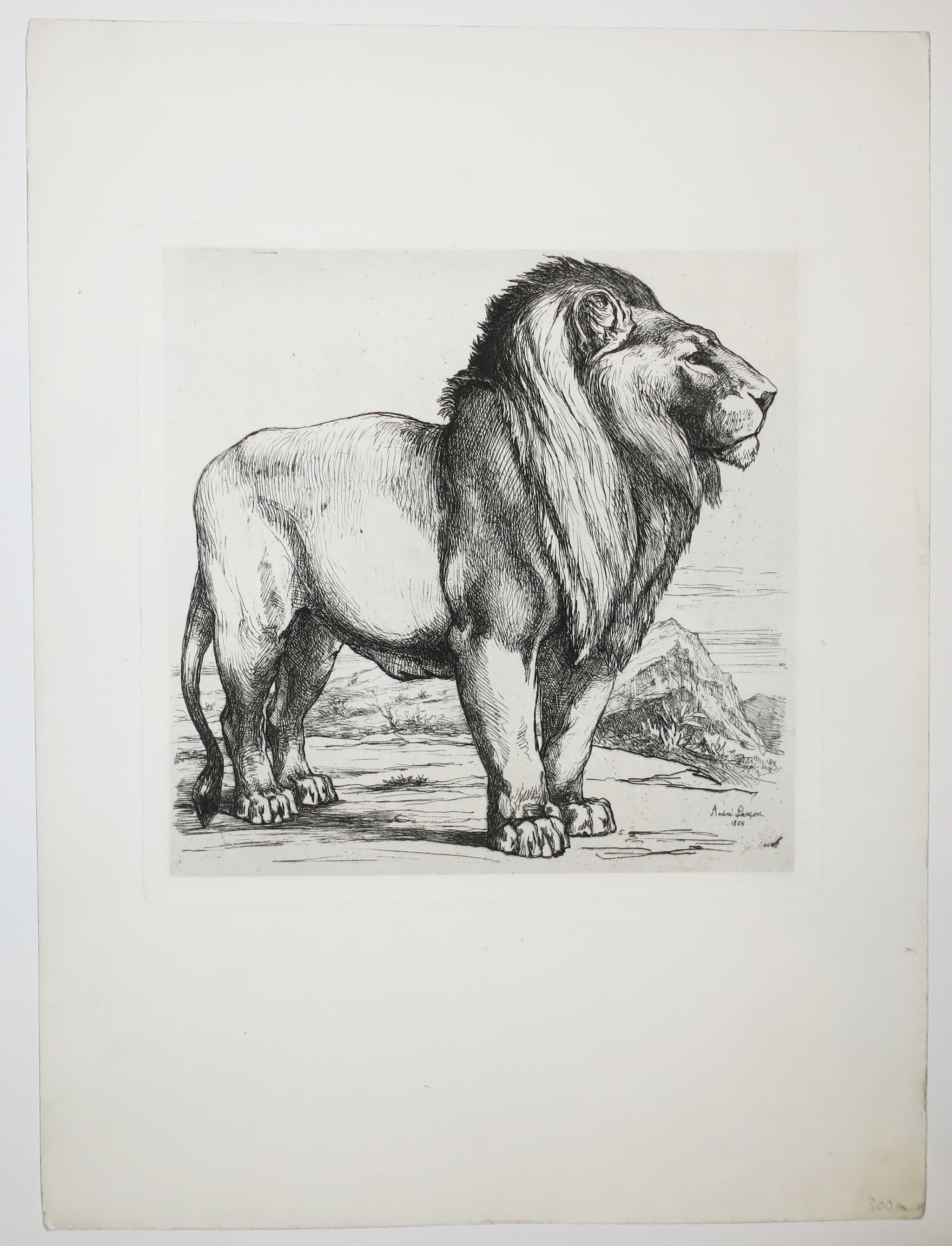 Lion debout de profil droit. 1866.