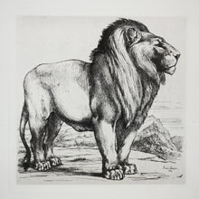 Charger l'image dans la galerie, Lion debout de profil droit. 1866.