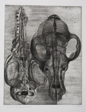 Charger l'image dans la galerie, Masques.