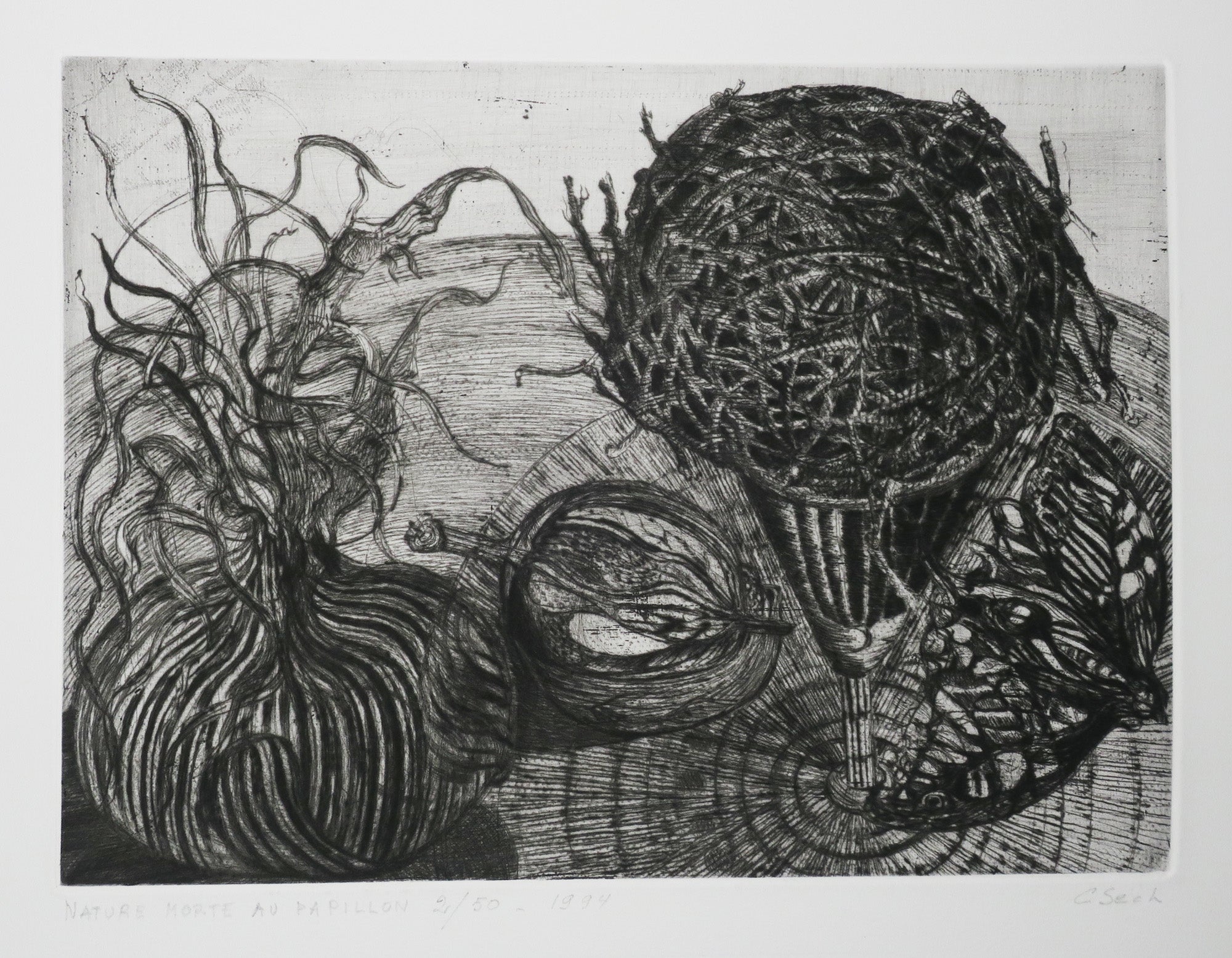 Nature morte au papillon.