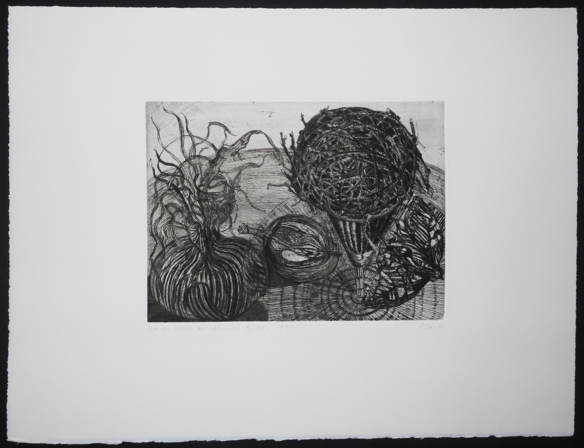 Nature morte au papillon.