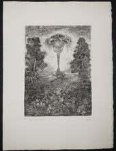 Charger l'image dans la galerie, Aux Sources de la Forêt.