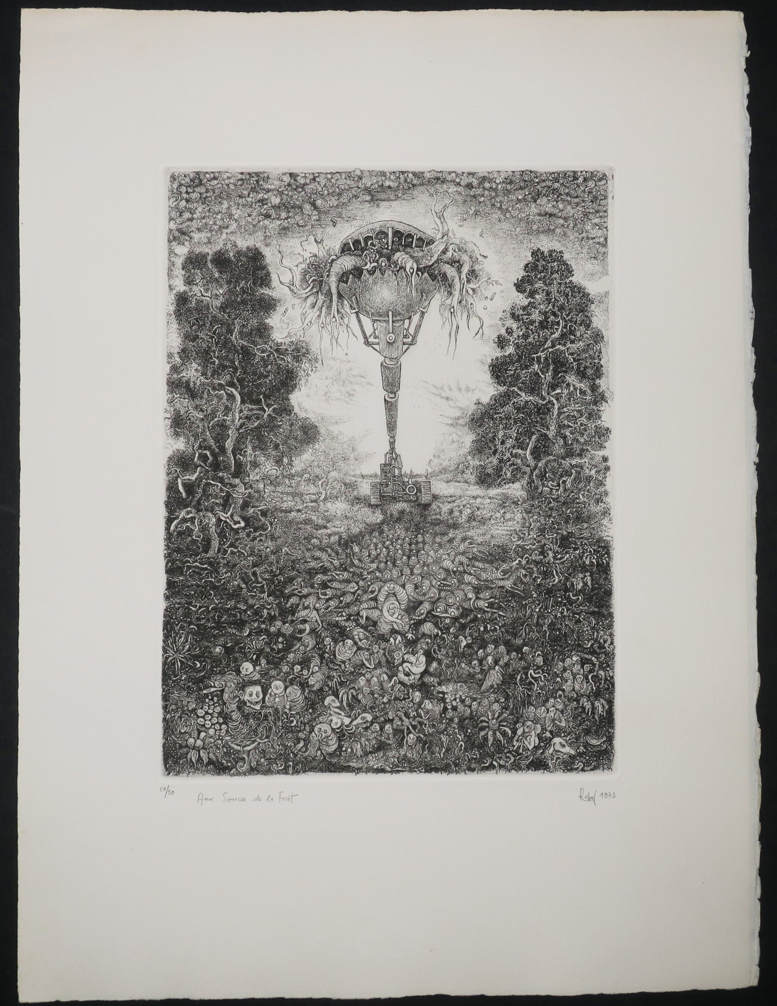 Aux Sources de la Forêt.