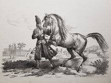 Charger l'image dans la galerie, Cheval Persan. c.1820.