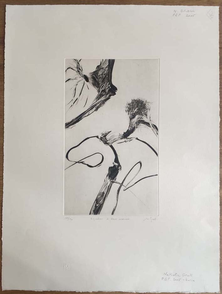 Equation à deux inconnus. 2005