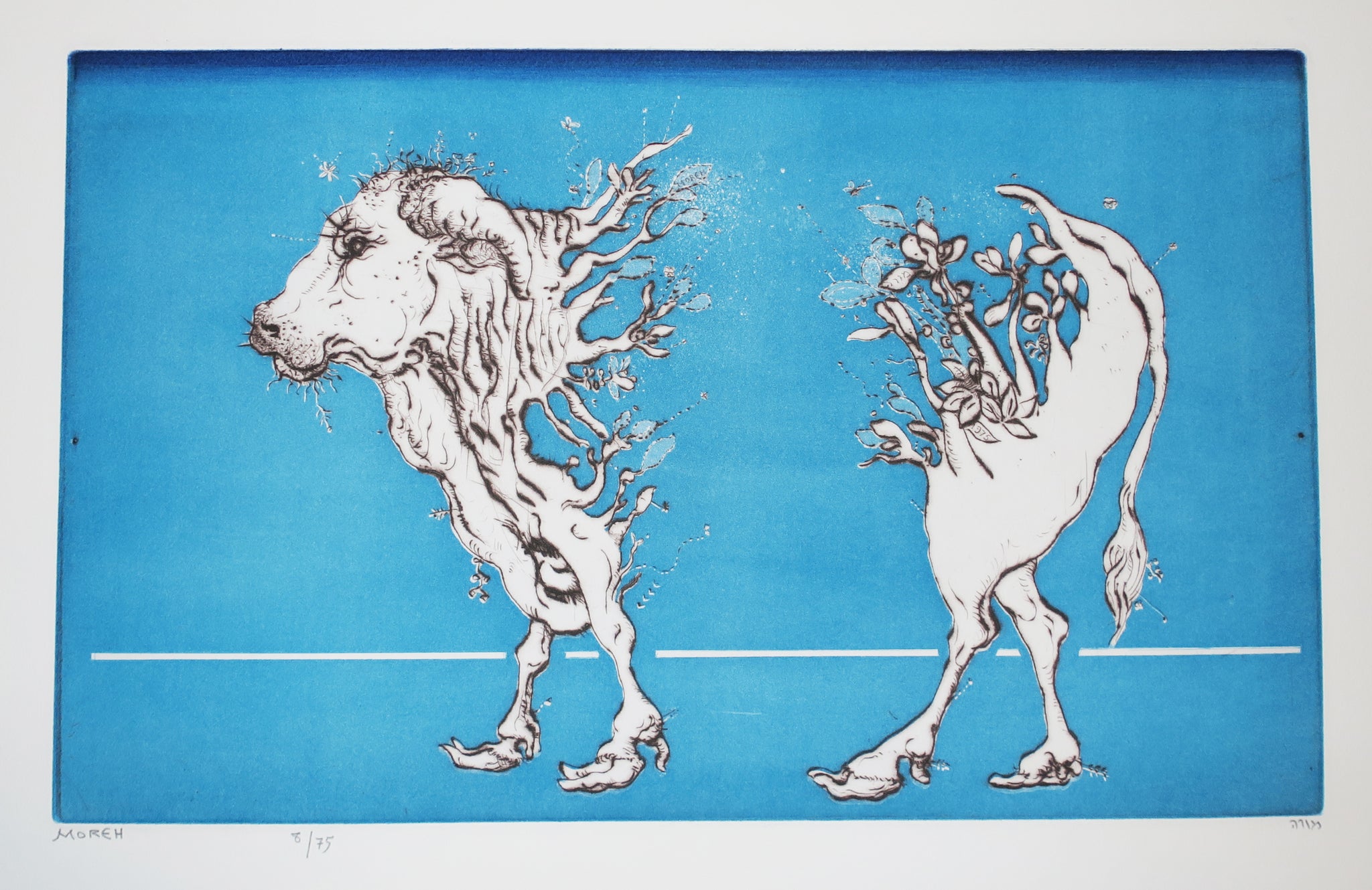 La métamorphose du zébu.  1975.