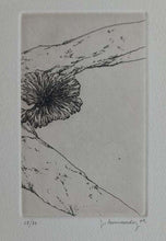 Charger l'image dans la galerie, Tête de fleur. 2009