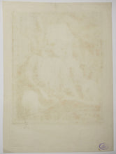 Charger l'image dans la galerie, Portrait de François Fagel (1657-c.1747), demi-longueur dirigé vers la droite, assis avec un livre sur ses genoux.  1747.