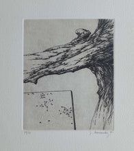 Charger l'image dans la galerie, Tormenta. 2001