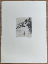 Charger l'image dans la galerie, Tormenta. 2001