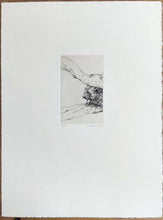 Charger l'image dans la galerie, Tête de lion. 2009