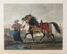 Charger l'image dans la galerie, Cheval arabe de Mameluk.