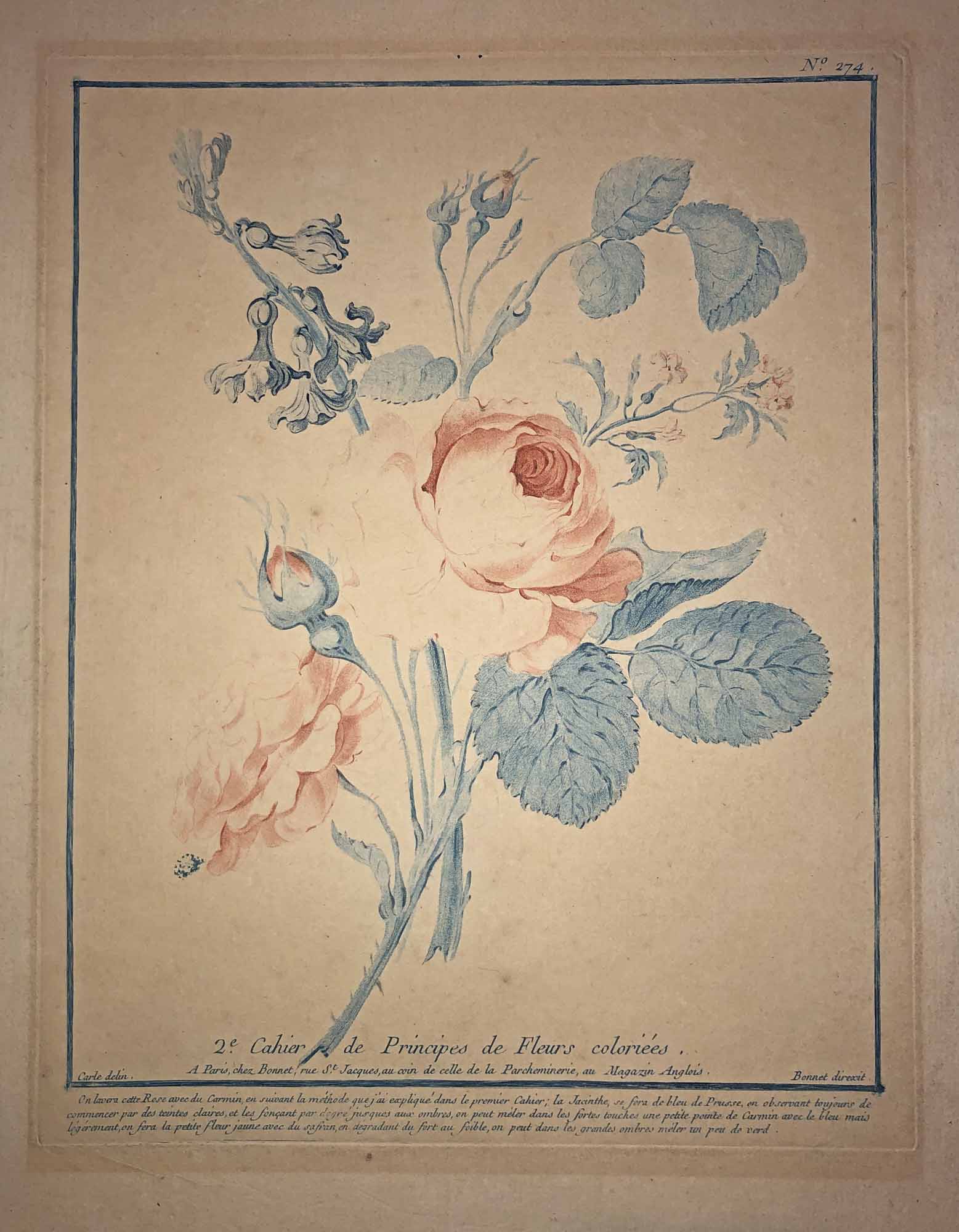 Deux roses, boutons et fleurs.