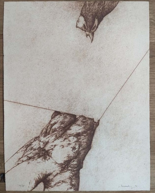 A viste de Parajo. 1996