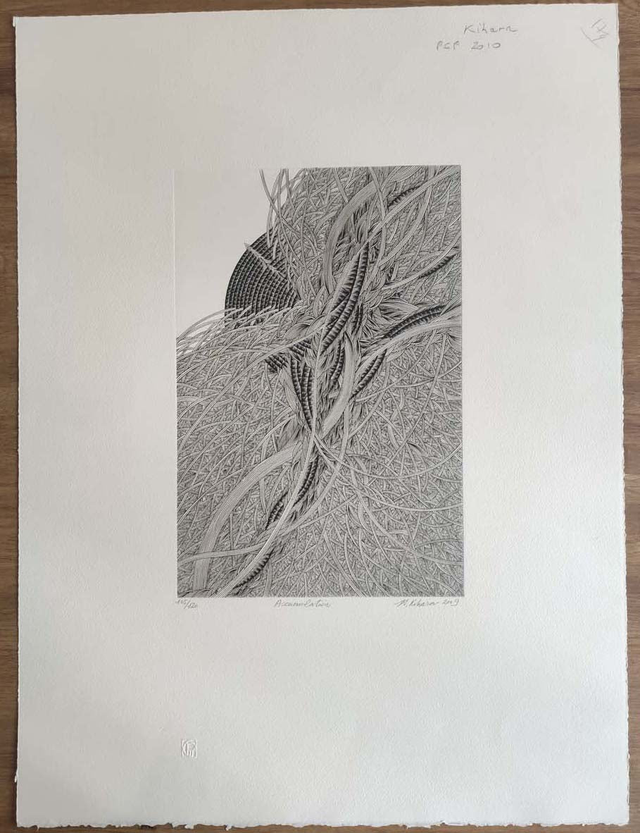 Accumulation. 2009
