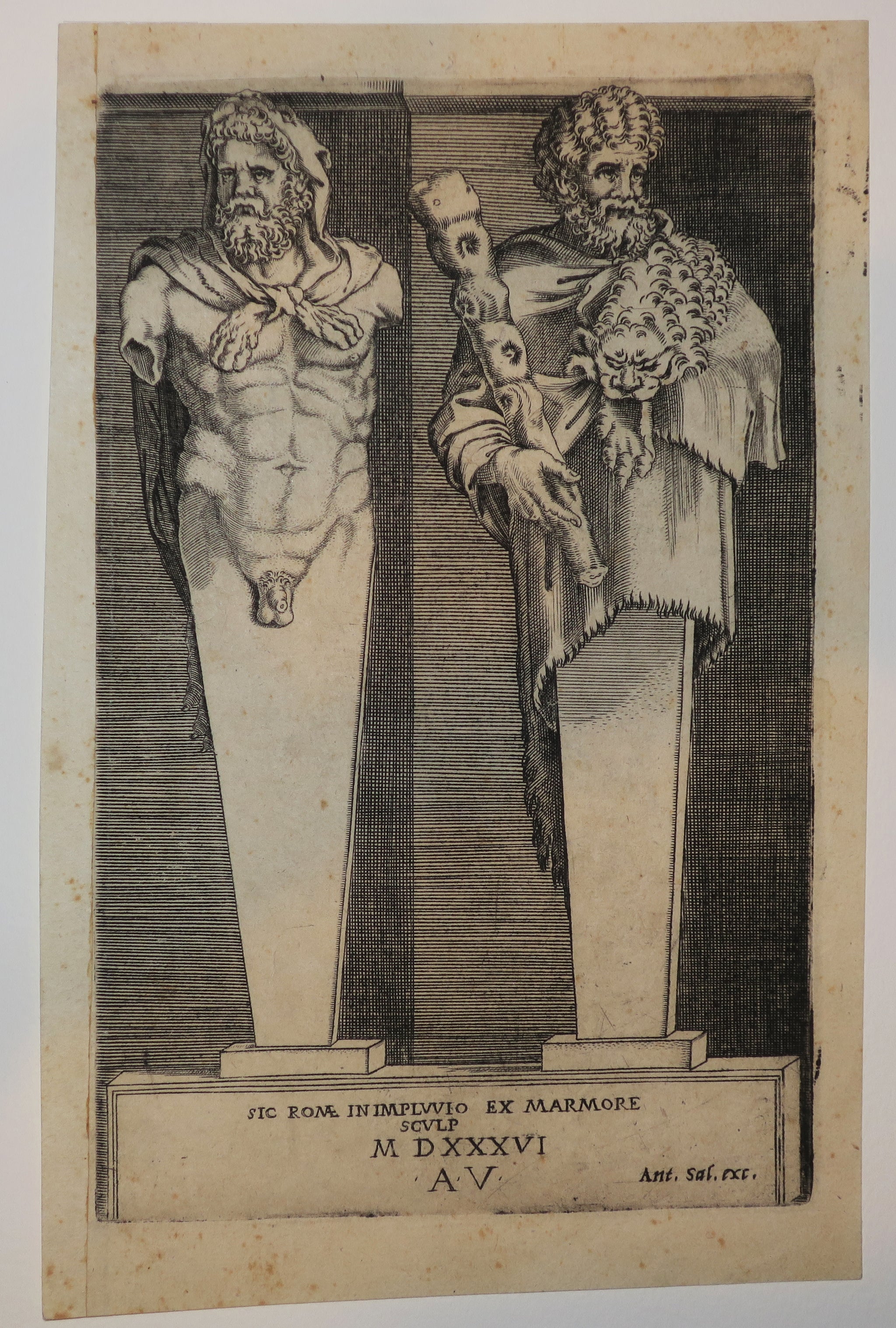 Deux Hercules.  1536.