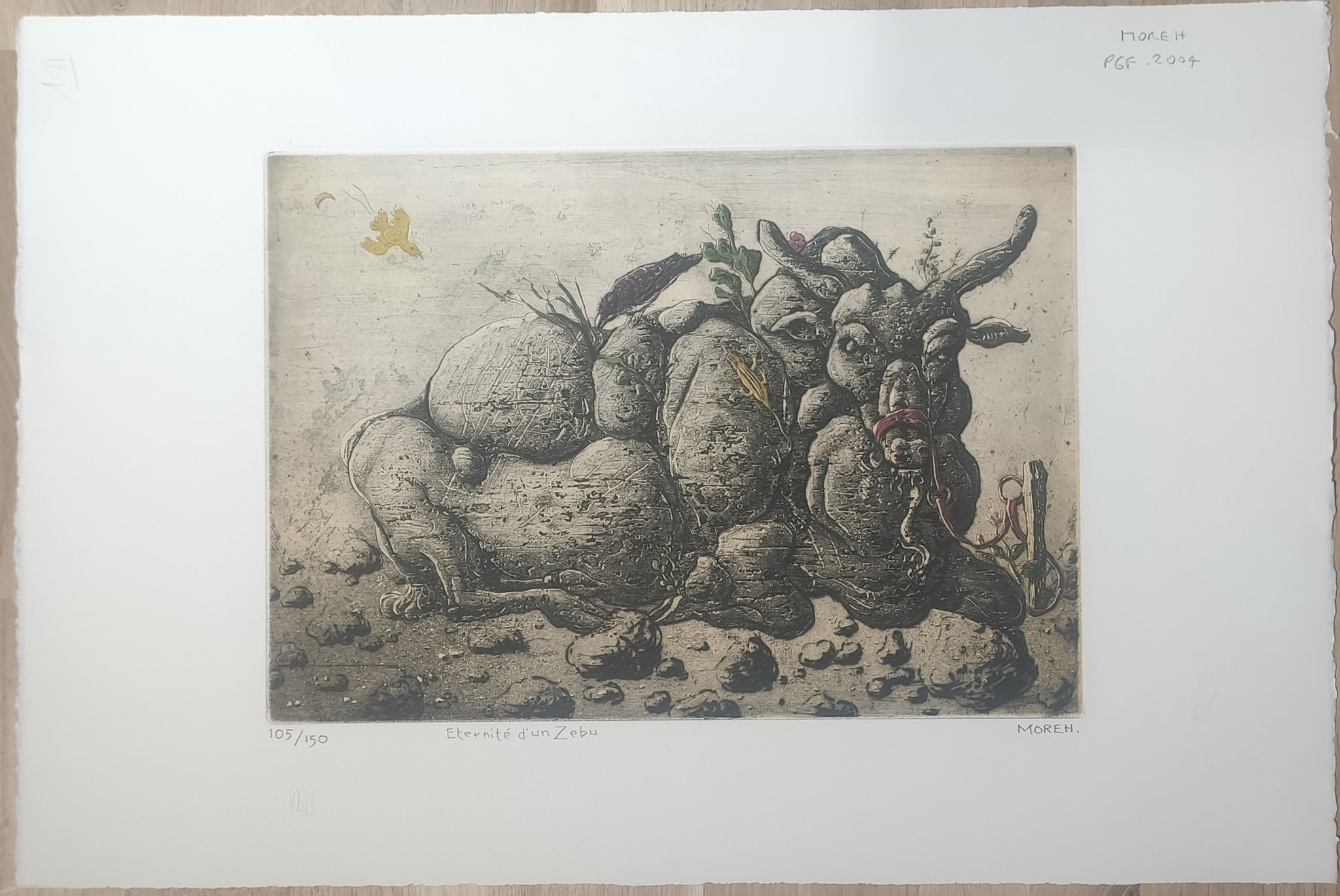 Eternité d'un Zebu. 2004