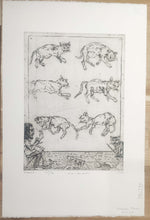 Charger l'image dans la galerie, L'amour des chats. 1996