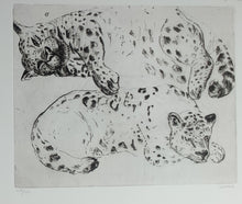 Charger l'image dans la galerie, Les deux Panthères. 2014