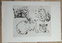 Charger l'image dans la galerie, Les deux Panthères. 2014