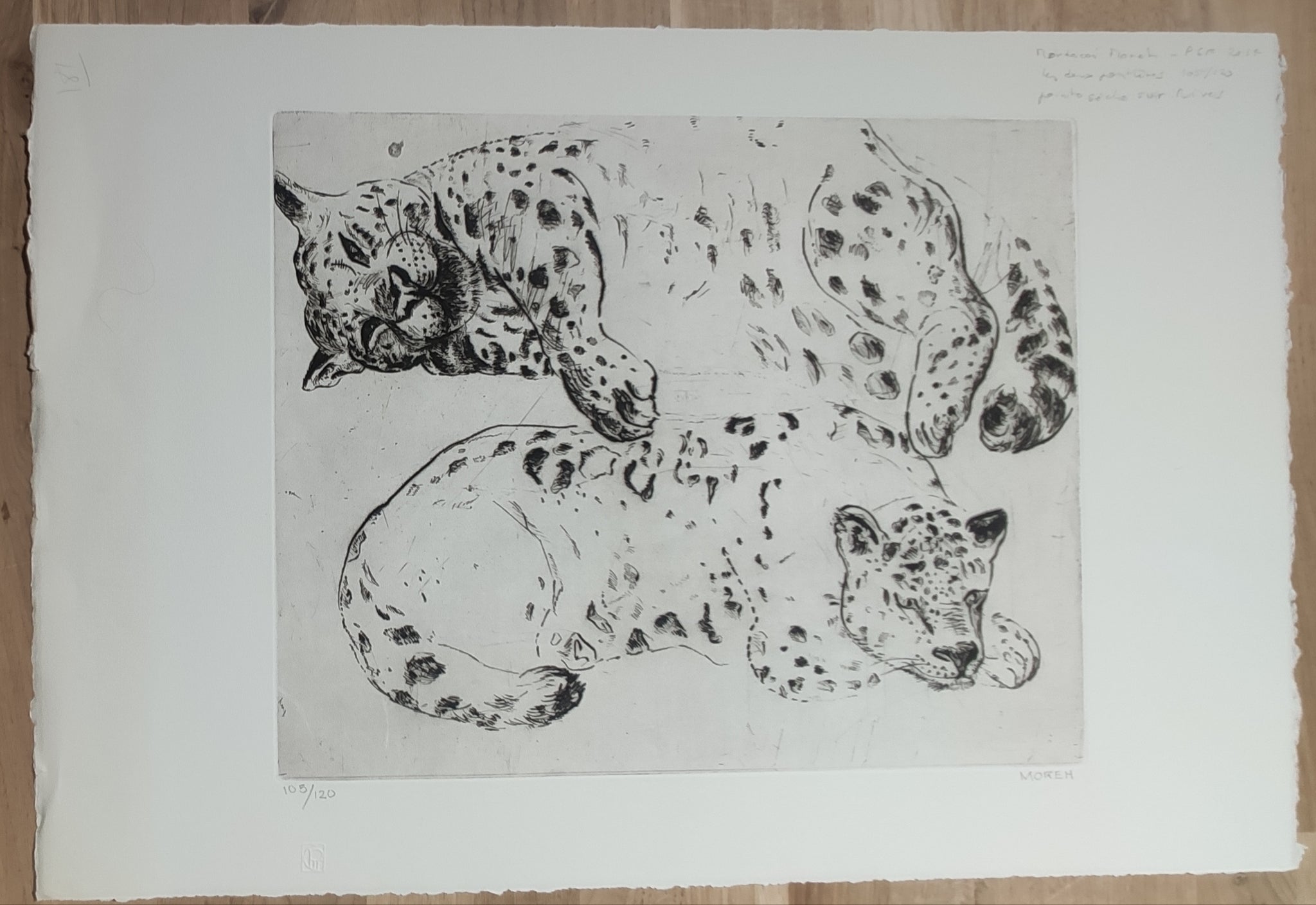 Les deux Panthères. 2014