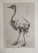 Charger l'image dans la galerie, L'autruche. 1992