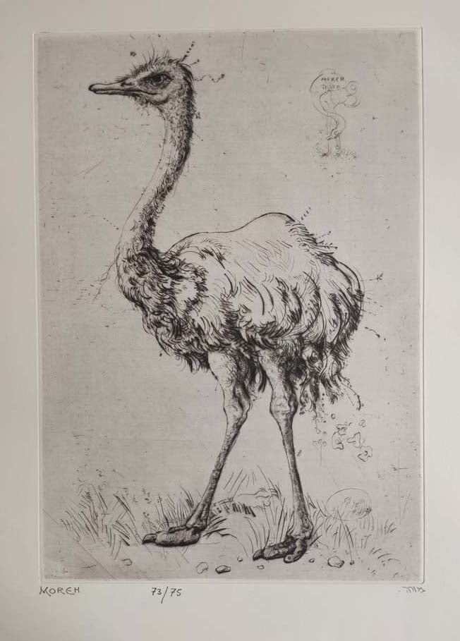 L'autruche. 1992