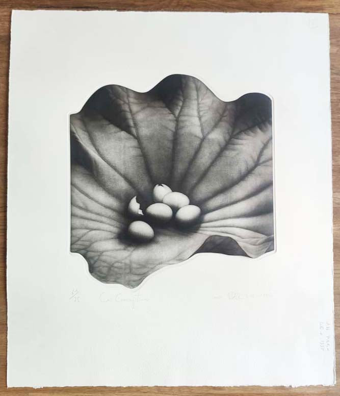 La conception. 1995